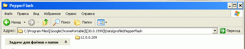 каталог Pepper Flash в профиле Goole Chrome, установлено 'старое' имя подкаталога