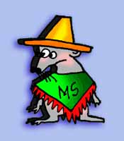Mexican MS Mouse